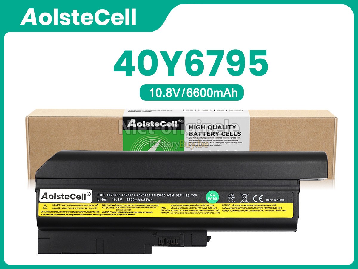 IBM ThinkPad T60 6466 accu